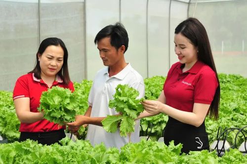 Đảng viên tham gia đầu tư kinh doanh: Từ thay đổi tư duy đến động lực bứt phá