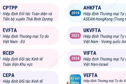 Các FTA Việt Nam tham gia tính đến tháng 10 năm 2026