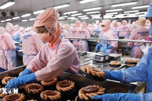 Hiệp định VEFTA mở cơ hội nâng tầm thủy sản Việt Nam tại thị trường cao cấp