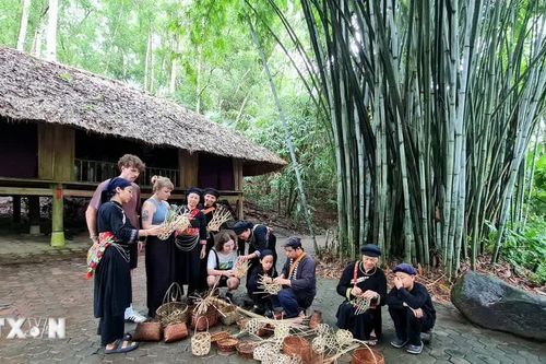 Thái Nguyên thu hút du khách quốc tế từ những trải nghiệm xanh