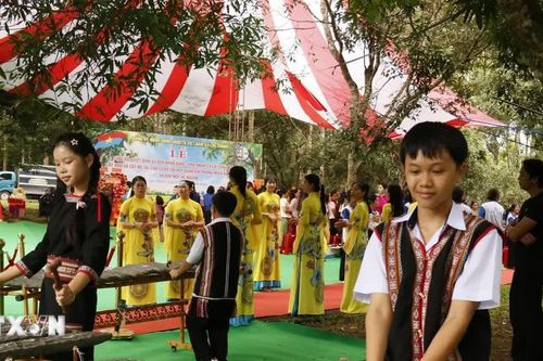 Đồng Nai: Nối dài dòng chảy đam mê nghệ thuật trình diễn đàn đá