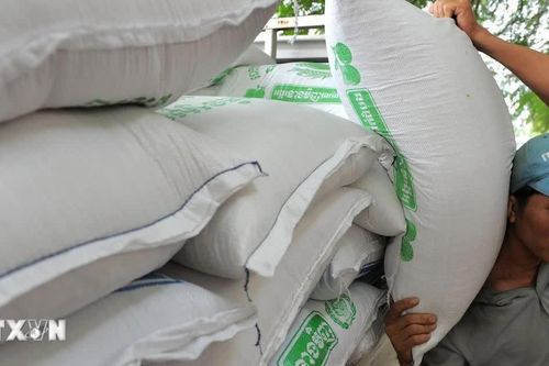 Campuchia lần đầu đạt mốc xuất khẩu 1 triệu tấn gạo