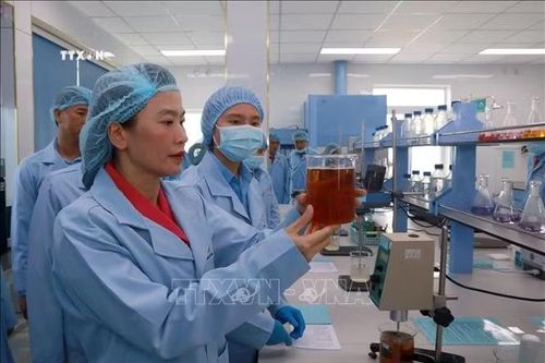 Nữ doanh nhân đưa khoa học công nghệ ứng dụng vào phát triển bền vững ngành yến sào