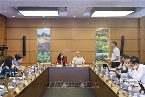 Quốc hội thảo luận ở tổ các dự án luật thuộc lĩnh vực tư pháp, kinh tế