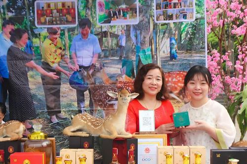 Bền bỉ dựng xây sinh kế từ tài nguyên bản địa quê hương