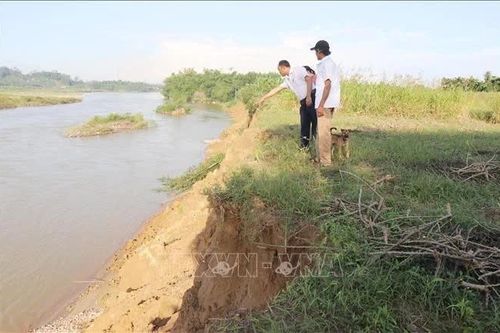 Quảng Ngãi khẩn trương kiểm tra tình trạng sạt lở bờ sông Trà Khúc