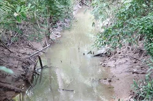 Người dân Đồng Tháp mong mỏi xây cống ngăn mặn