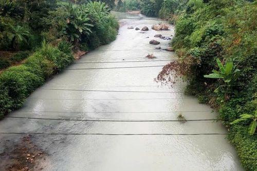 Cần sớm tìm ra nguyên nhân khiến nước sông Cầu đổi màu bất thường