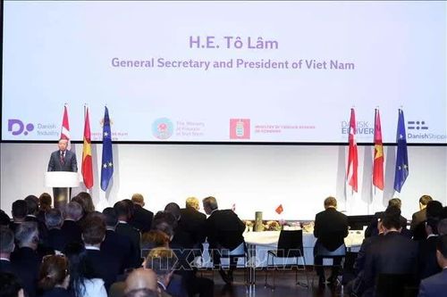 Tổng Bí thư, Chủ tịch nước Tô Lâm dự Diễn đàn Doanh nghiệp Việt Nam – Đan Mạch