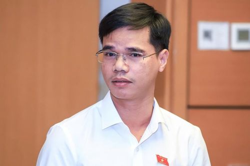 ĐBQH: Cải cách giá điện gắn với bảo đảm khả năng chi trả của người dân