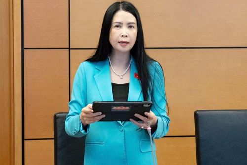 Đề nghị làm rõ thẩm quyền, giảm thủ tục ký kết thỏa thuận quốc tế
