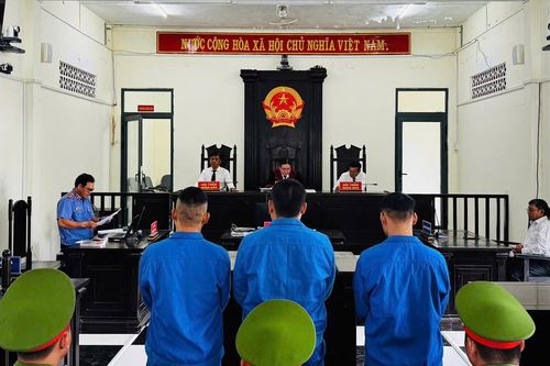 Góp tiền mua ma túy sử dụng, 3 bị cáo lĩnh 25 năm tù