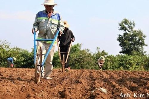 Urê nhập khẩu đa mục đích: Cần thống nhất tiêu chí quản lý