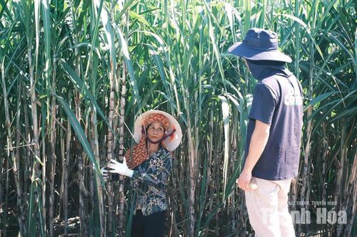 Cùng nông dân xây dựng sinh kế bền vững