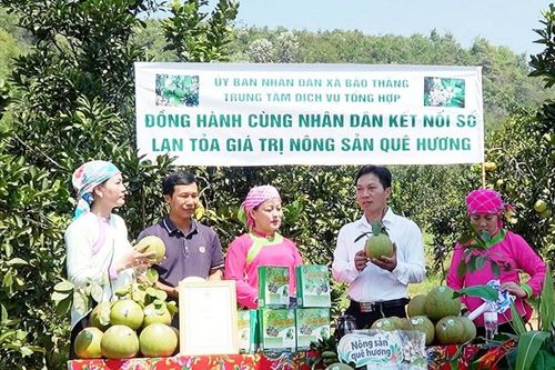 Đưa nông sản vùng cao vượt qua rào cản vươn ra thế giới