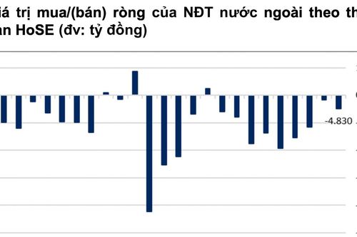 Khối ngoại bán ròng gần 120 nghìn tỷ từ đầu năm