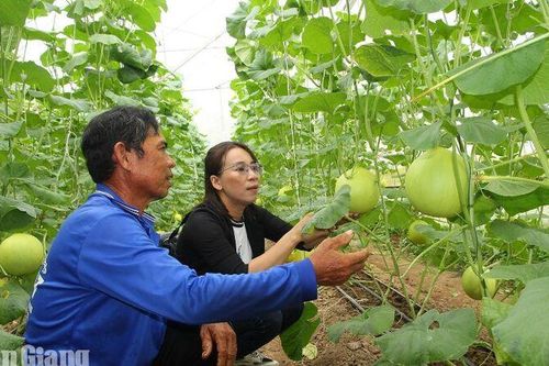 Châu Phong đưa chuyển đổi số đến gần dân