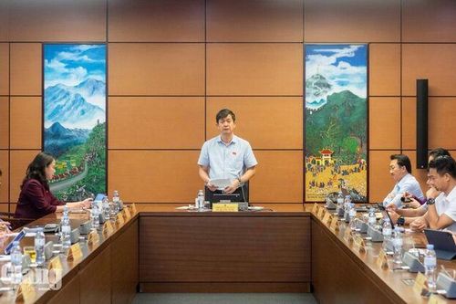 Đại biểu Quốc hội An Giang kiến nghị giữ ngưỡng xử lý hình sự riêng với thuốc lá lậu