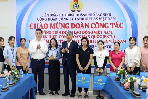 Tổng Liên đoàn Lao động Việt Nam và Công đoàn Hàn Quốc làm việc tại doanh nghiệp Bắc Ninh