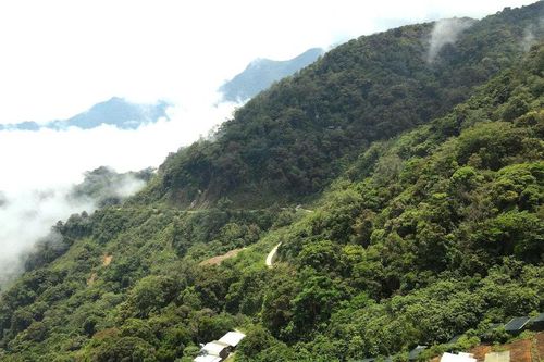 Xã Đắc Pring được định hướng trở thành trung tâm kinh tế lâm nghiệp, vùng trồng dược liệu quý