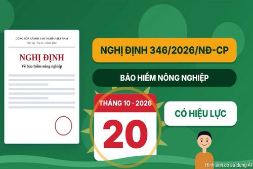 [Short Video] Một ‘lướt’ hiểu Luật: Các đối tượng được hỗ trợ bảo hiểm nông nghiệp theo nghị định mới