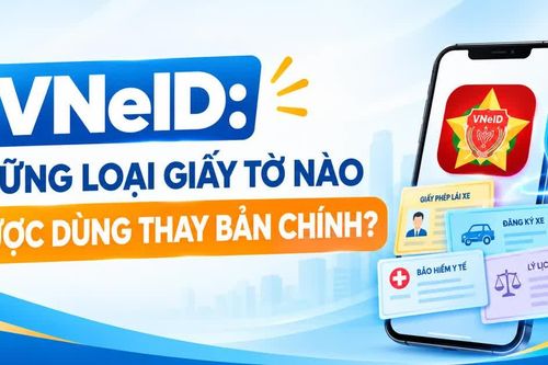 Infographic VNeID: Những loại giấy tờ nào được dùng thay bản chính?