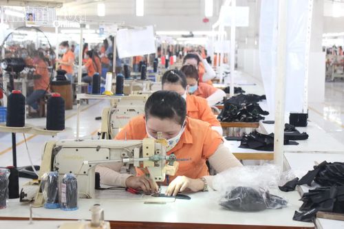 Thuế tỉnh: Kịp thời giải quyết hoàn thuế cho doanh nghiệp