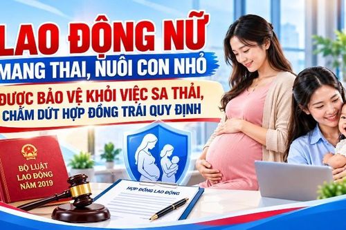 Lao động nữ mang thai, nuôi con nhỏ được bảo vệ khỏi việc sa thải, chấm dứt hợp đồng trái quy định