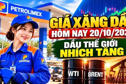 Giá xăng dầu hôm nay 20/10: Dầu thế giới tăng, áp lực giá trong nước còn lớn