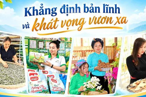 Khẳng định bản lĩnh và khát vọng vươn xa
