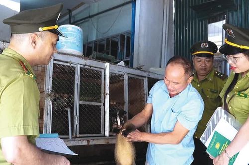Siết chặt quản lý, bảo vệ động vật hoang dã