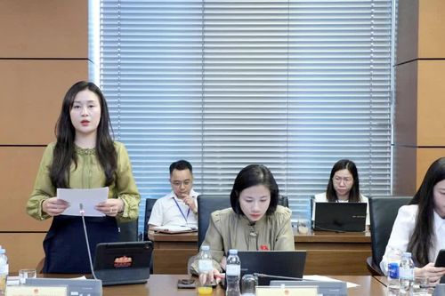 Đại biểu Quốc hội tỉnh Lào Cai đề xuất tháo gỡ vướng mắc, nâng cao tính khả thi của các dự án luật