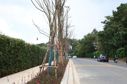 Đà Lạt nâng cấp loạt tuyến đường nội đô