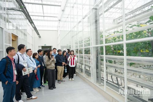 Từ trang trại thông minh đến chuỗi sản xuất nông nghiệp tại Hàn Quốc
