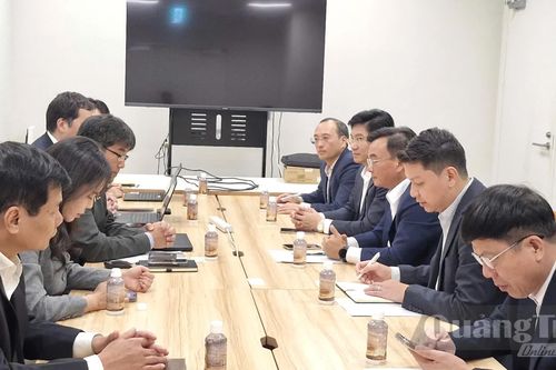Thúc đẩy hợp tác đầu tư, thương mại với các đối tác Nhật Bản