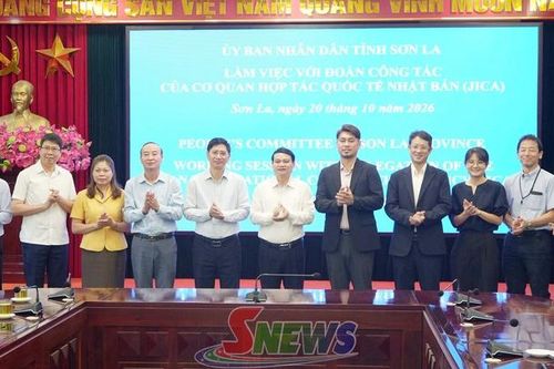 UBND tỉnh Sơn La làm việc với Đoàn công tác của Cơ quan Hợp tác quốc tế Nhật Bản