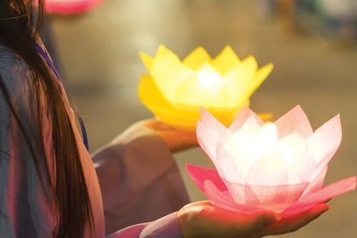 Công hạnh của tín nữ Visākhā và người nữ Phật tử thời hiện đại