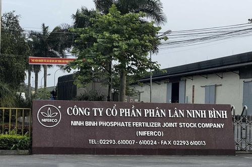 Phân lân Ninh Bình (NFC) lãi giảm gần 80% trong quý III, dòng tiền kinh doanh âm hơn 91 tỷ đồng