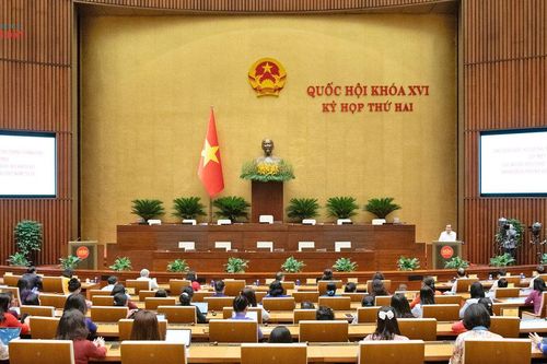 Nữ ĐBQH tiếp tục là cầu nối vững chắc giữa cử tri và nghị trường