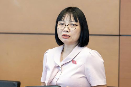 Bảo đảm cơ hội tiếp cận sách của người dân trong sắp xếp thư viện