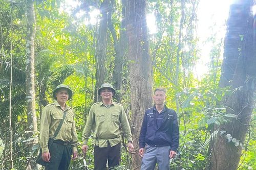 BQL Rừng phòng hộ Như Thanh: Lặng lẽ bám núi, dồn lực phủ xanh rừng