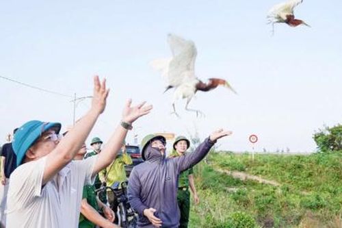 Nước mắt chim trời (Bài cuối)