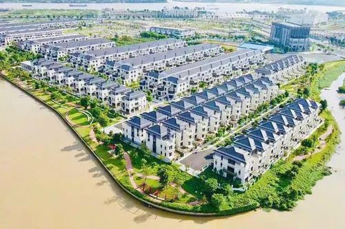 Novaland đang hồi sinh từ những chuyển động thực chất