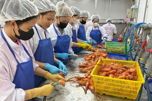 Cà Mau làm gì để tăng trưởng hai con số trong quý cuối năm?