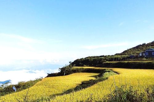Cao Bằng: Xã Cô Ba chuyển mình phát triển kinh tế gắn với du lịch cộng đồng