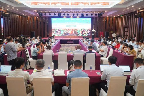 Ứng dụng công nghệ giúp nông dân trồng khoai tây thu 73 triệu/hecta