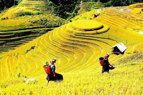 Việt Nam đứng thứ 4 trong 15 điểm đến dẫn đầu xu hướng du lịch mùa thu 2026