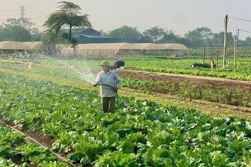 Tiểu thương chợ truyền thống Hà Nội lên sàn, có mã định danh, được Thành phố bảo trợ