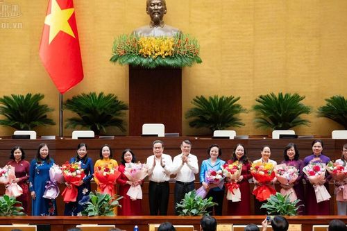 Chủ tịch Quốc hội, Thủ tướng Chính phủ gặp, chúc mừng nữ ĐBQH nhân ngày 20/10