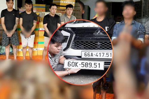 Dân liên tục báo mất chó, công an lần ra đường dây tiêu thụ hơn 10 tấn thịt